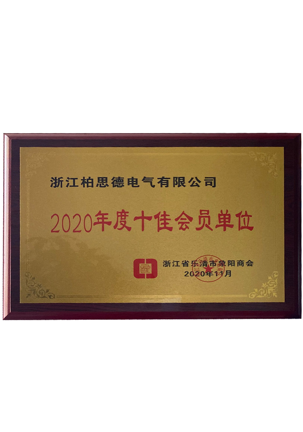 2020年度十佳会员